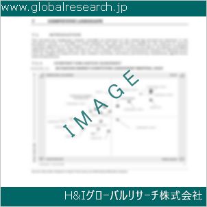 グローバルリサーチ調査資料のイメージ